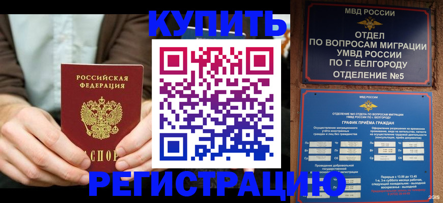 прописка 2025 в Щиграх